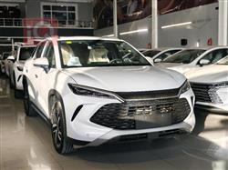 بي واي دي سونغ L DM-i